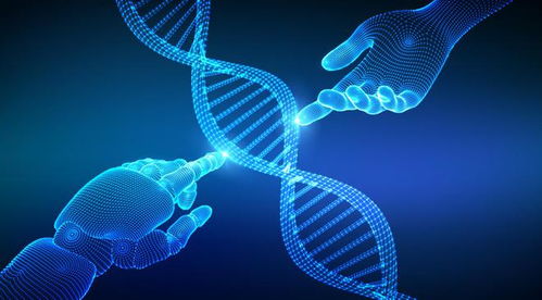 禾元生物IPO之路 业绩连年亏损，技术开发与产品商业化双重挑战