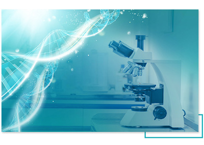 技术开发 驱动创新与变革的核心力量